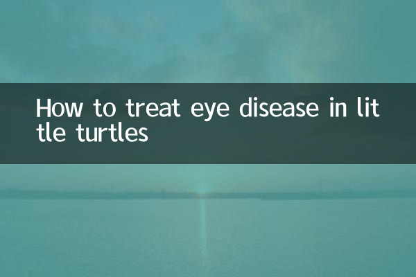 Comment traiter les maladies oculaires chez les petites tortues