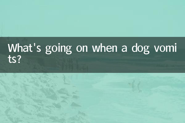 Que se passe-t-il lorsqu'un chien vomit ?
