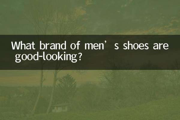 Quelle marque de chaussures pour hommes est belle ?