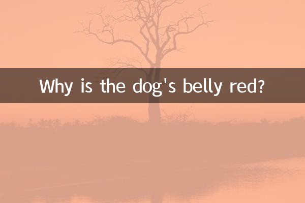犬のお腹はなぜ赤いのですか？