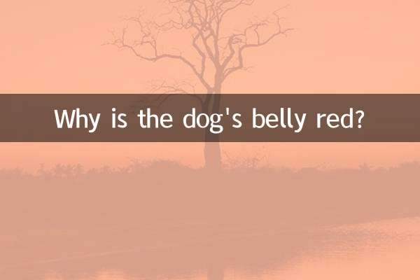 犬のお腹はなぜ赤いのですか？
