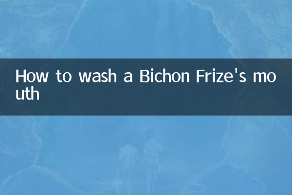 How to wash a Bichon Frize's mouth