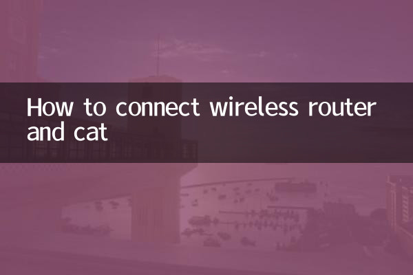 How to connect wireless router and cat