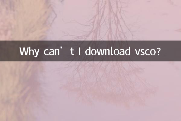 Warum kann ich vsco nicht herunterladen?