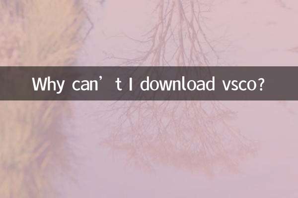 Warum kann ich vsco nicht herunterladen?