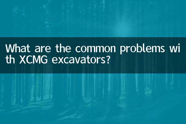 Quais são os problemas comuns das escavadeiras XCMG?