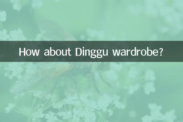 ¿Qué tal el armario Dinggu?