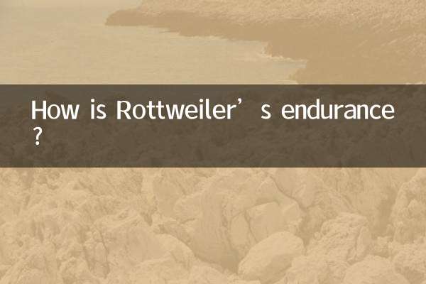 How is Rottweiler’s endurance?