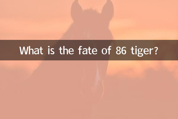 Was ist das Schicksal von 86 Tiger?