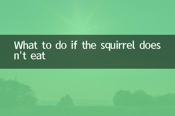 リスが餌を食べない場合はどうすればいいですか
