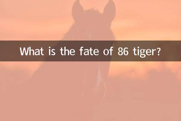 ৮৬টি বাঘের ভাগ্যে কী?