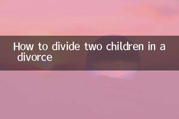 離婚時に二人の子供を分ける方法