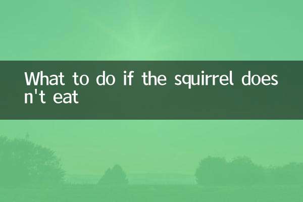 リスが餌を食べない場合はどうすればいいですか