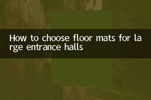 बड़े प्रवेश कक्षों के लिए फर्श मैट कैसे चुनें