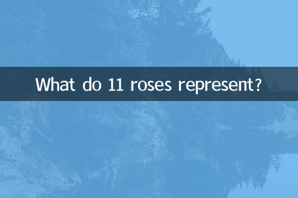 What do 11 roses represent?