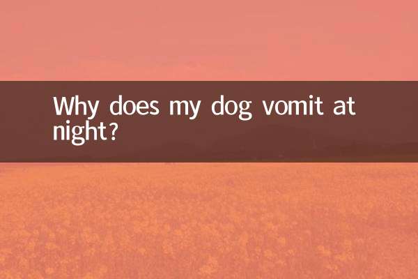 Warum erbricht mein Hund nachts?