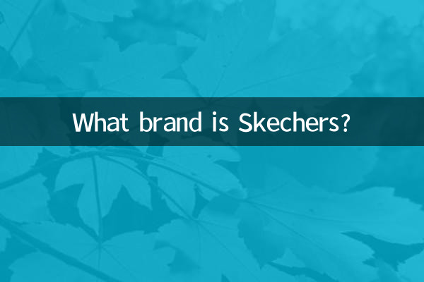 स्केचर्स कौन सा ब्रांड है?