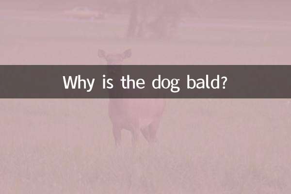 कुत्ता गंजा क्यों है?