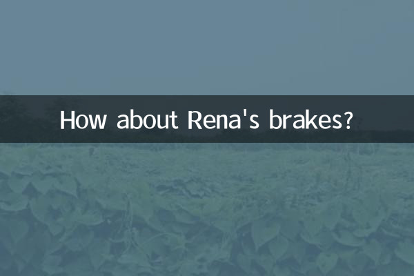 ماذا عن مكابح رينا؟