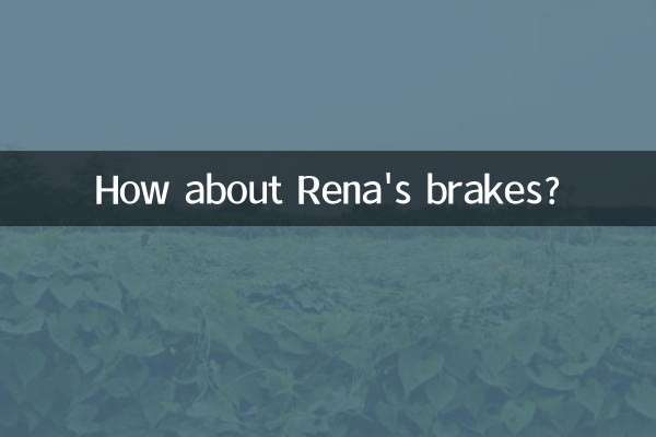 ماذا عن مكابح رينا؟