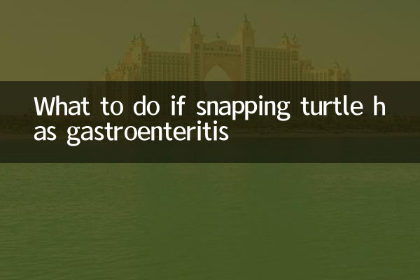 鳄龟肠胃炎怎么办