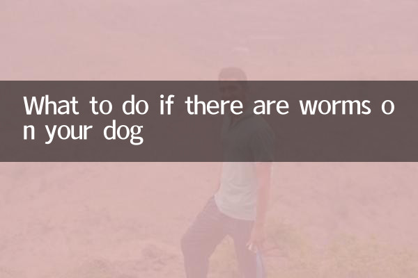 O que fazer se houver vermes no seu cachorro