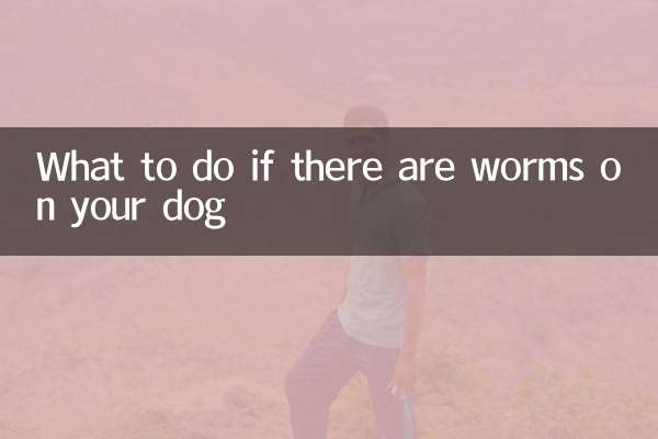 O que fazer se houver vermes no seu cachorro