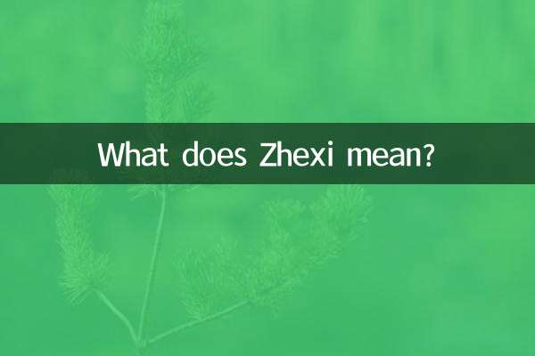 哲熙含义是什么