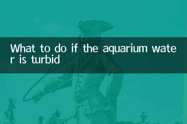 水族箱水質渾濁怎麼辦