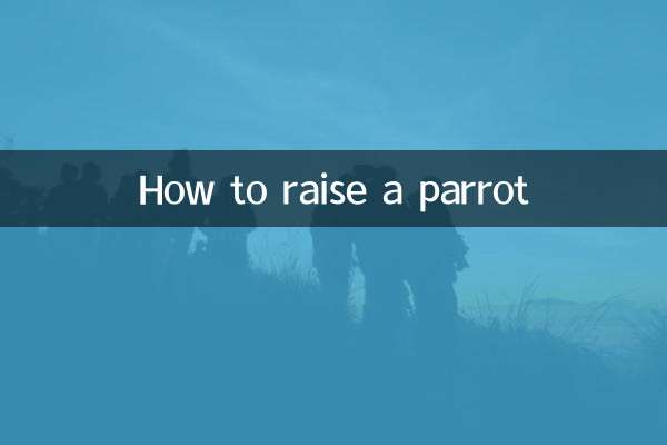How to raise a parrot