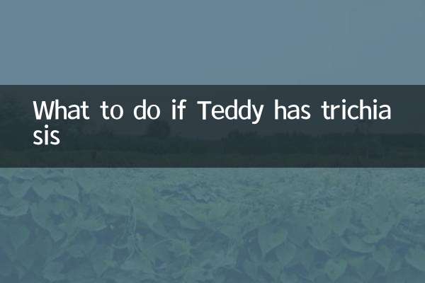 泰迪倒睫怎么办