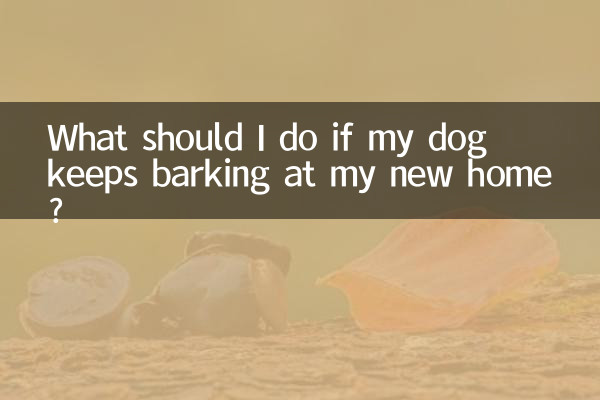 狗狗到新家一直叫怎麼辦