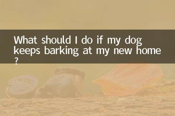 狗狗到新家一直叫怎么办