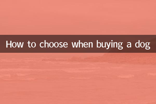 نحوه انتخاب در هنگام خرید سگ