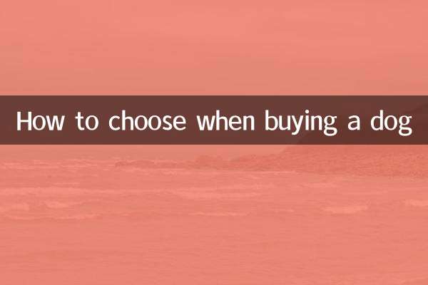 Come scegliere quando si acquista un cane