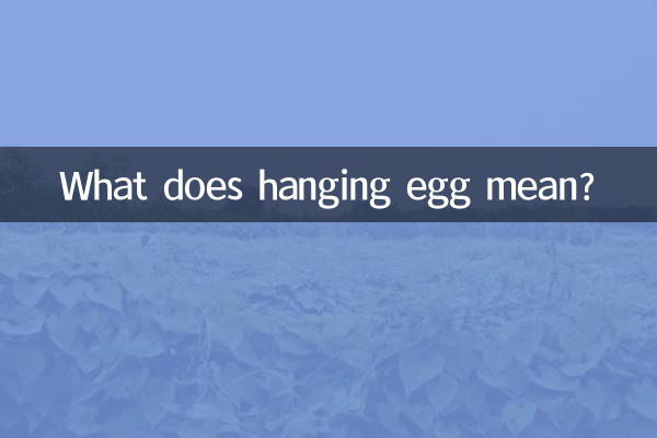 ما هو معنى بيضة معلقة ؟