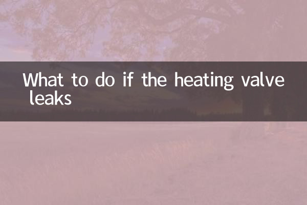 加熱バルブから漏れがあった場合の対処方法