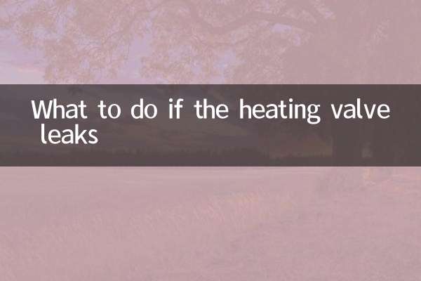 加熱バルブから漏れがあった場合の対処方法
