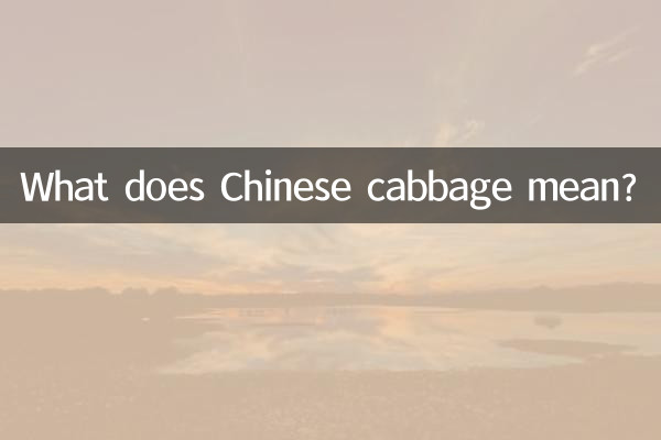 白菜ってどういう意味ですか?