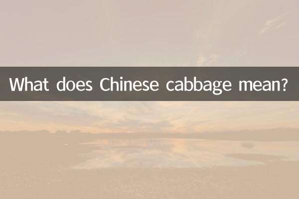 白菜ってどういう意味ですか？