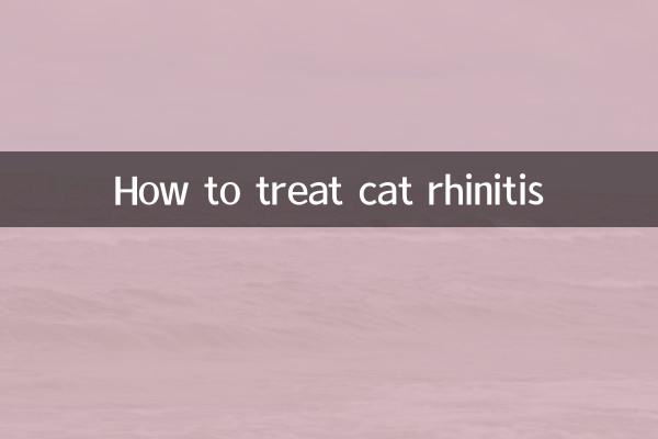 Come trattare la rinite nel gatto