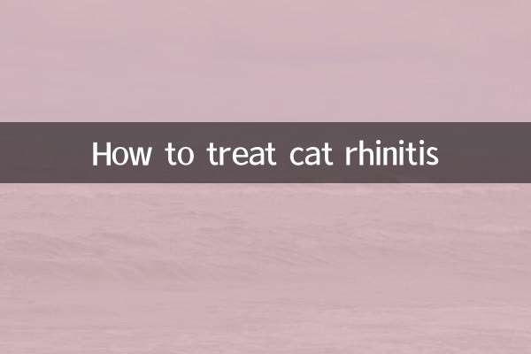 Come trattare la rinite nel gatto