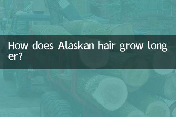알래스카의 머리카락은 어떻게 더 길어지나요?