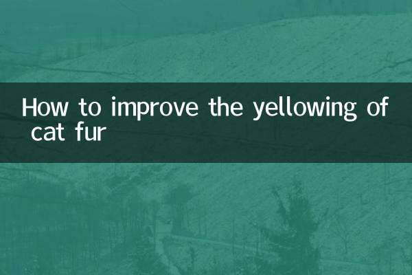 猫の毛の黄ばみを改善する方法