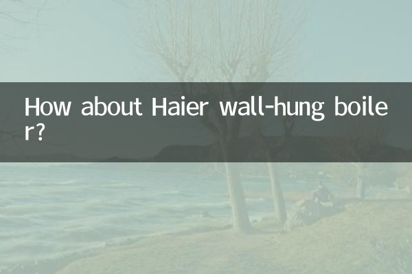 হায়ার ওয়াল-হ্যাং বয়লার সম্পর্কে কেমন?