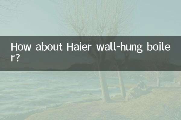 হায়ার ওয়াল-হ্যাং বয়লার সম্পর্কে কেমন?