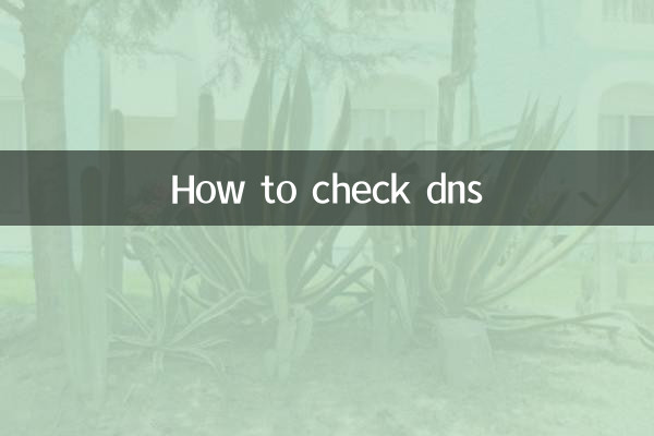 DNS کی جانچ کیسے کریں