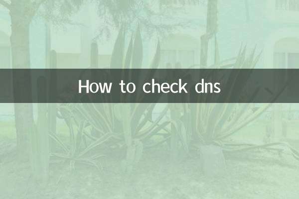 DNS کی جانچ کیسے کریں