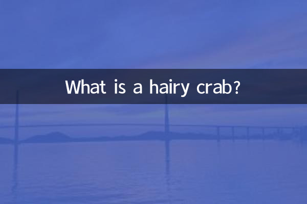 What is a hairy crab?