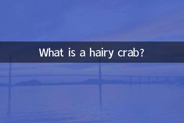 What is a hairy crab?